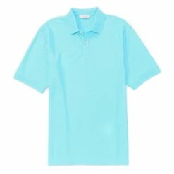 Wholesale 👏 Roundtree & Yorke Gold Label Perfect Performance Short-Sleeve Solid Non-Iron Polo Dusty Cherry 🤩