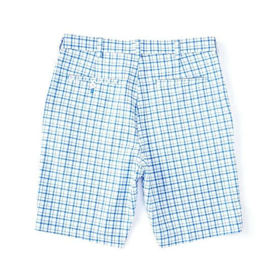 Cheapest β Roundtree & Yorke Performance 9#double; Inseam Printed Plaid Shorts Beaucoup Blue 𧨠- Image 2
