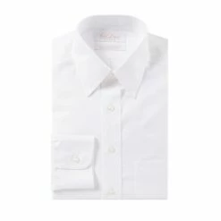 Budget ⭐ Gold Label Roundtree & Yorke Non-Iron Fitted Point-Collar Solid 👗 Dress 👕 Shirt Black 🧨